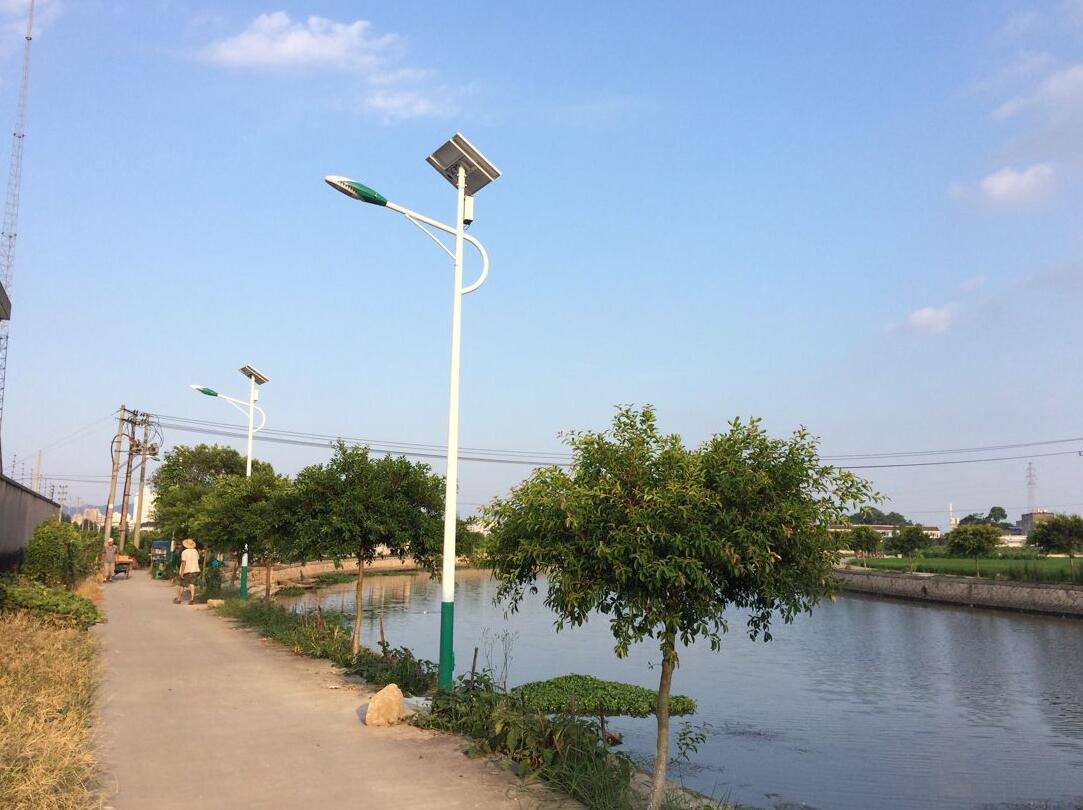 6米21瓦新农村建设太阳能路灯